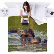 Hippos Blankets 1559146