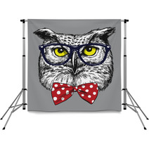 Hipster Owl With Glasses And Bow Tie Glasses And Tie Are Separated Backdrops 94690229