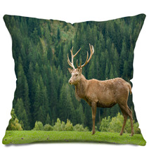 Hirsch Pillows 47015165