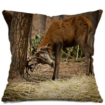 Hirschrudel Pillows 37311053