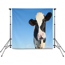 Holstein Cow Against Blue Sky Backdrops 46451167