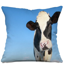 Holstein Cow Against Blue Sky Pillows 46451167