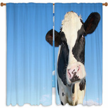 Holstein Cow Against Blue Sky Window Curtains 46451167