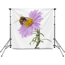 Honeybee And Blue Flower Backdrops 72323454