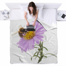 Honeybee And Blue Flower Blankets 72323454