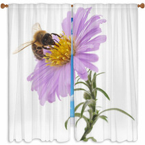 Honeybee And Blue Flower Window Curtains 72323454