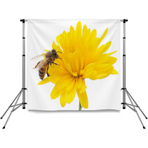 Honeybee And Yellow Flower Backdrops 62311390