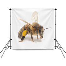 Honeybee Backdrops 56695353