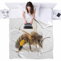 Honeybee Blankets 56695353