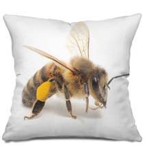 Honeybee Pillows 56695353