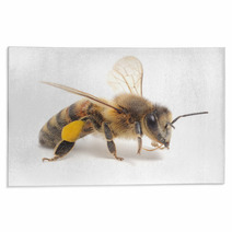 Honeybee Rugs 56695353
