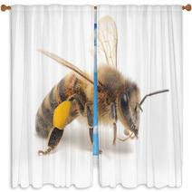 Honeybee Window Curtains 56695353