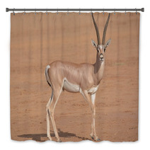Horned Antilope In Samburu Game Park Bath Decor 87641503
