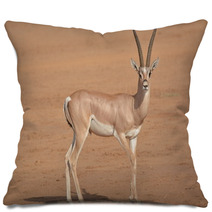 Horned Antilope In Samburu Game Park Pillows 87641503