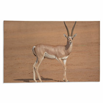 Horned Antilope In Samburu Game Park Rugs 87641503