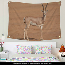 Horned Antilope In Samburu Game Park Wall Art 87641503