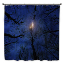 Horror Forest With Moon At Night Bath Decor 133640480