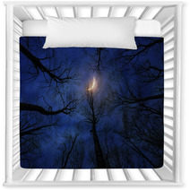 Horror Forest With Moon At Night Nursery Decor 133640480