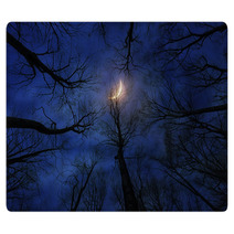 Horror Forest With Moon At Night Rugs 133640480