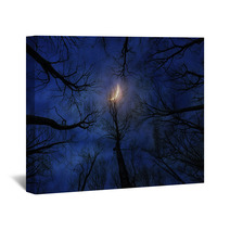 Horror Forest With Moon At Night Wall Art 133640480