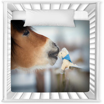 Horse And Toy Horse In Winter, Kiss. Nursery Decor 53317520