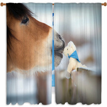 Horse And Toy Horse In Winter, Kiss. Window Curtains 53317520