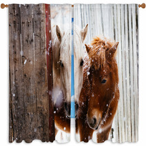 Horse Horse Horse Animal Winter Window Curtains 141325932