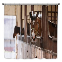 Horse In A Stall Bath Decor 110731155