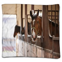 Horse In A Stall Blankets 110731155