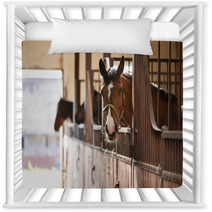 Horse In A Stall Nursery Decor 110731155