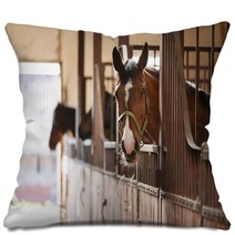 Horse In A Stall Pillows 110731155
