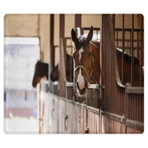 Horse In A Stall Rugs 110731155