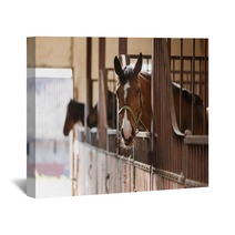Horse In A Stall Wall Art 110731155