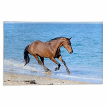 Horse In The Water Rugs 52069302