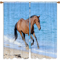 Horse In The Water Window Curtains 52069302