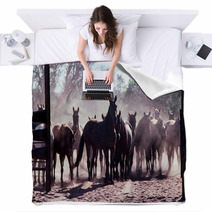 Horse Muster Blankets 67353980