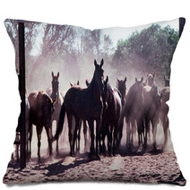 Horse Muster Pillows 67353980