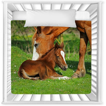 Horse Nursery Decor 51338837