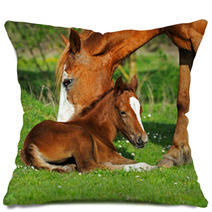 Horse Pillows 51338837