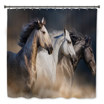 Horses With Long Mane Portrait Run Gallop In Desert Dust Bath Decor 106659074