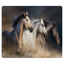 Horses With Long Mane Portrait Run Gallop In Desert Dust Rugs 106659074