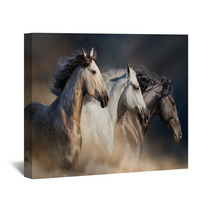 Horses With Long Mane Portrait Run Gallop In Desert Dust Wall Art 106659074
