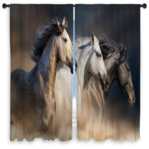 Horses With Long Mane Portrait Run Gallop In Desert Dust Window Curtains 106659074