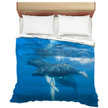 Humpback Mother And Calf Bedding 62536893