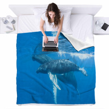 Humpback Mother And Calf Blankets 62536893