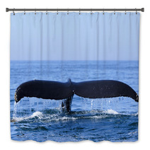 Humpback Whale Bath Decor 36365215