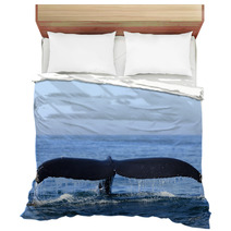 Humpback Whale Bedding 36365215