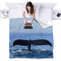 Humpback Whale Blankets 36365215