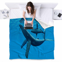 Humpback Whale Bonding Blankets 58461760