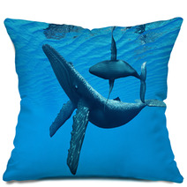 Humpback Whale Bonding Pillows 58461760
